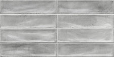 Botan Grey Brillo 30x60 cm