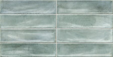 Botan Turquoise Brillo 30x60 cm