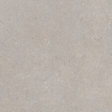 Dlažba Moonstone Silver 60x60 cm