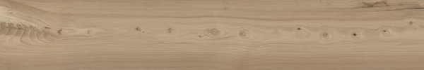 Dlažba Oregon Natural 20x120 cm