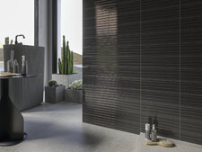 Gare Anthracite Brillo 10x30,5 cm