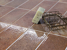 Lynx Orange Brillo 10x20 cm