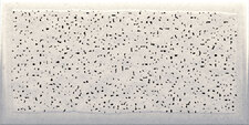 Lynx White Brillo 10x20 cm