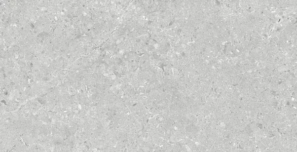 Meridia Argent 30x60 cm