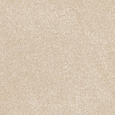 Mont Blanc Sahara 80x80 cm