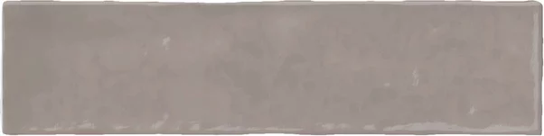 Moos Taupe Brillo 6,5x26 cm