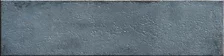 Mussa Blue Brillo 7,5×30 cm