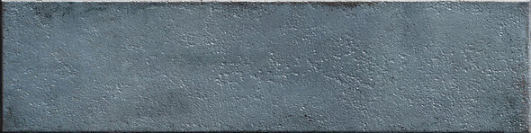 Mussa Blue Brillo 7,5×30 cm