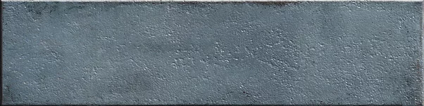 Mussa Blue Brillo 7,5×30 cm
