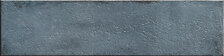 Mussa Blue Brillo 7,5×30 cm