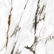 Paonazzo Biondo Polished 120×250×0,6 cm