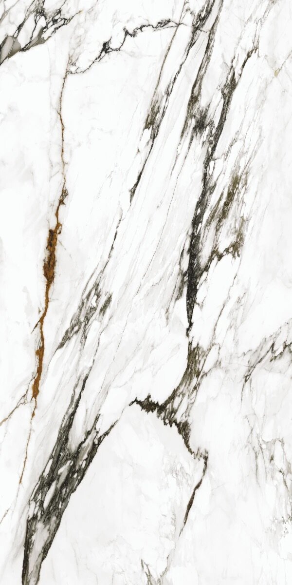 Paonazzo Biondo Polished 120×250×0,6 cm