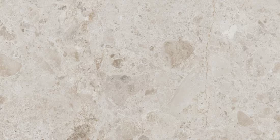 Petra Taupe 60x120 cm