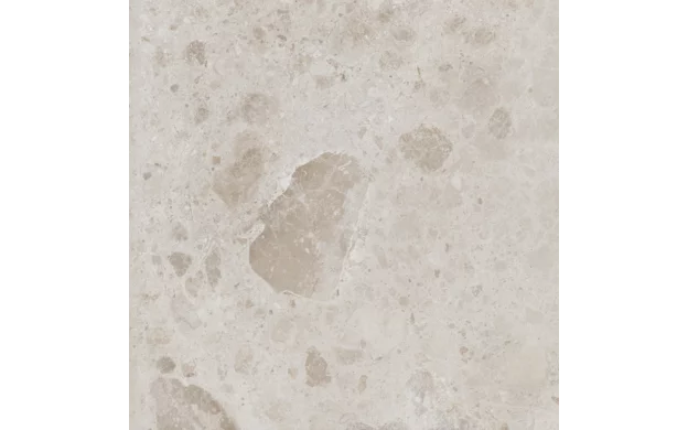 Petra Taupe