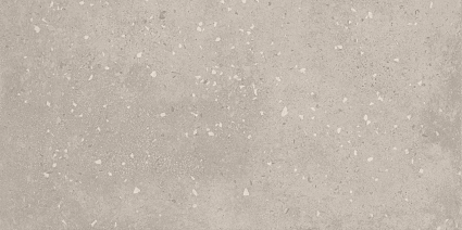 Santelmo Virgin Greige 60x120 cm